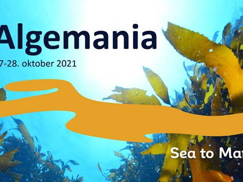 Sea to Market - Algemania