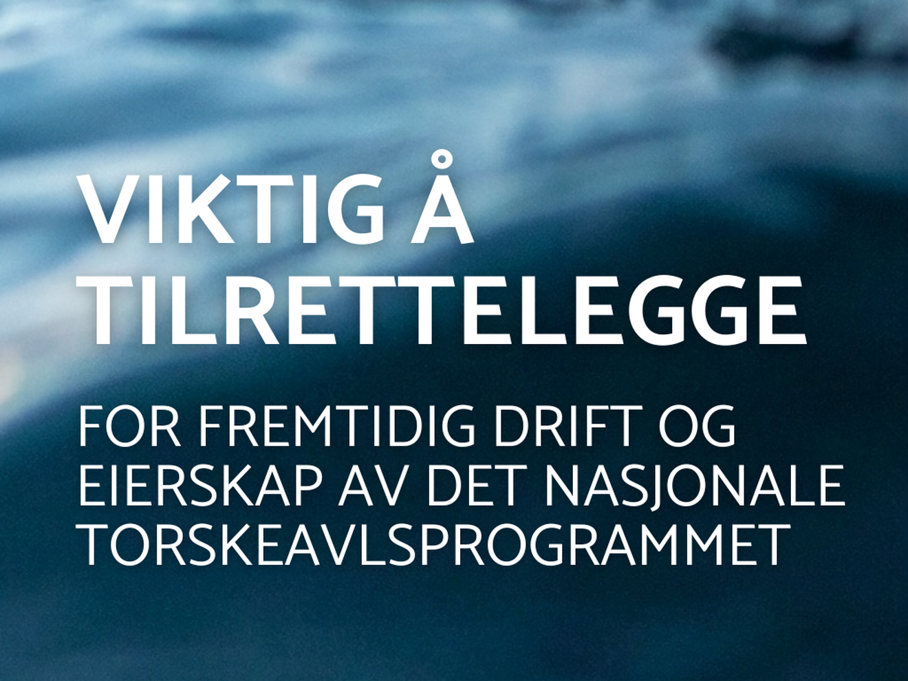 Høring: Fremtidig drift og eierskap av det nasjonale torskeavlsprogrammet